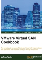 VMware Virtual SAN Cookbook在线阅读