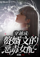 穿越成贅婿文的惡毒女配在線閱讀