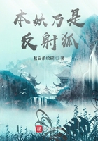 本妖乃是反射狐在线阅读