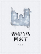 青梅竹馬回來了在線閱讀