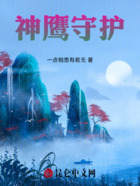 神鹰守护在线阅读