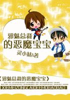 邪魅总裁的恶魔宝宝