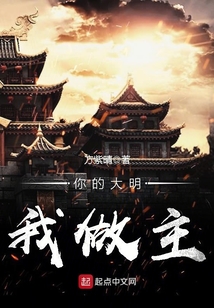 你的大明我做主