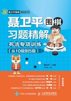 聂卫平围棋习题精解：死活专项训练（从10级到5级）