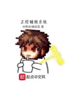正经辅助系统在线阅读