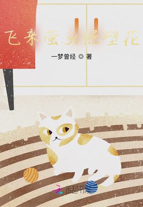 飞来萤火照壁花在线阅读