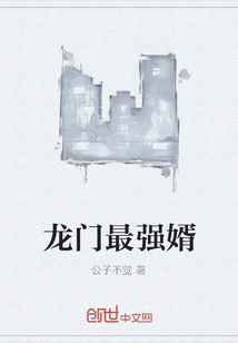 龙门最强婿