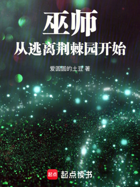 巫师：从逃离荆棘园开始在线阅读