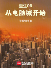 重生06:从电脑城开始在线阅读