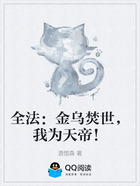 全法：金乌焚世，我为天帝！在线阅读