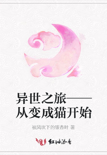 异世之旅——从变成猫开始