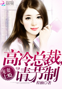 宠妻上瘾：高冷总裁，请节制