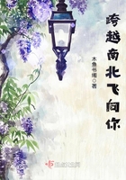 跨越南北飛向你在線閱讀