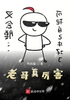 老哥真厲害在線閱讀