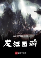 龍狂西游在線閱讀