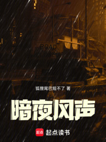 暗夜風聲