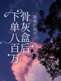 下單八百萬骨灰盒后,我被打成小三