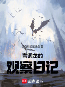 青銅龍的觀察日記