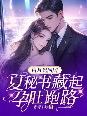 白月光回国,夏秘书藏起孕肚跑路在线阅读