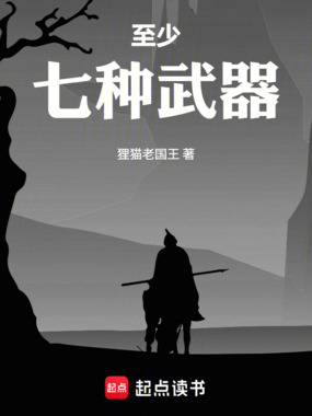 至少七种武器在线阅读