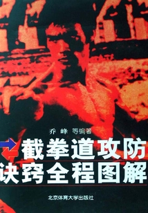 截拳道攻防訣竅全程圖解