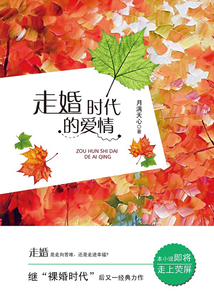 走婚時代的愛情
