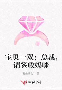 寶貝一雙：總裁，請簽收媽咪