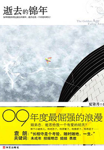逝去的錦年