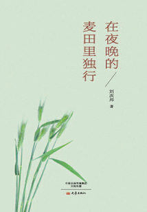 在夜晚的麥田里獨行