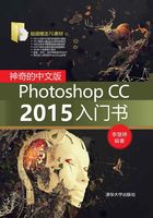 神奇的中文版Photoshop CC 2015入门书在线阅读