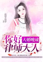 大婚晚成:你好,律师大人在线阅读