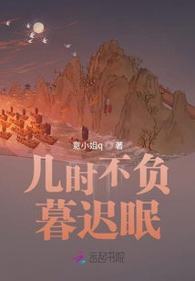 幾時不負暮遲眠