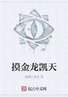 摸金龙凯天