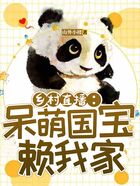 乡村直播:呆萌国宝赖我家在线阅读