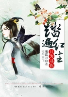 踏遍紅塵只為尋你在線閱讀