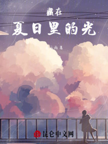 藏在夏日里的光