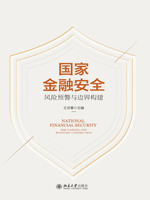 國家金融安全：風險預警與邊界構建