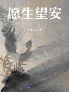 愿生望安在线阅读