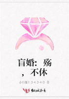 盲婚:殇,不休在线阅读