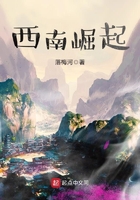 西南崛起