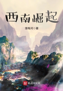 西南崛起