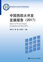 中国西部大开发发展报告（2017）