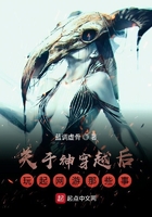 關于神穿越后玩起網游那些事在線閱讀