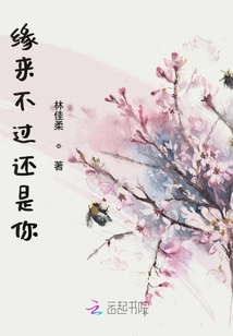 我與你不止于此
