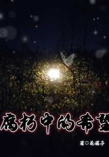 腐朽中的希望