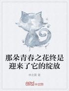 那朵青春之花終是迎來了它的綻放在線閱讀