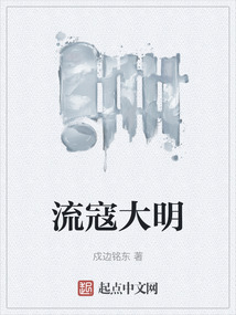 流寇大明