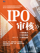 IPO审核:审核要点、应对策略、案例分析在线阅读