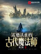 霍格沃茨的古代魔法師在線閱讀