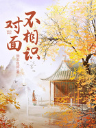 对面不相识在线阅读